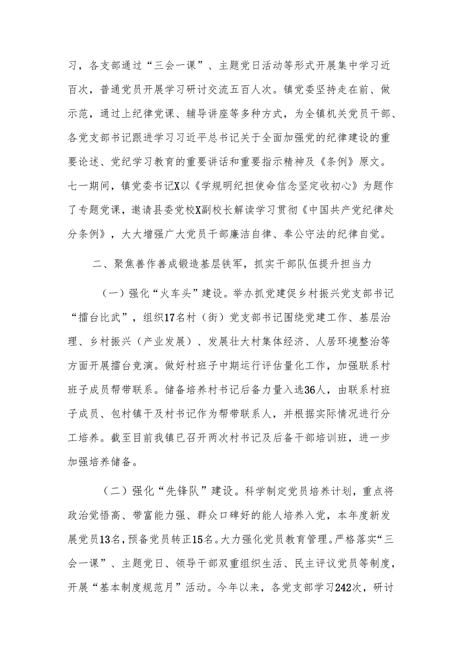 镇2024党建工作总结及2025年工作计划范文.docx_第2页
