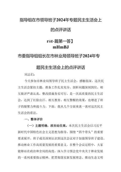 （2篇）指导组在市领导班子2024年专题民主生活会上的点评讲话.docx