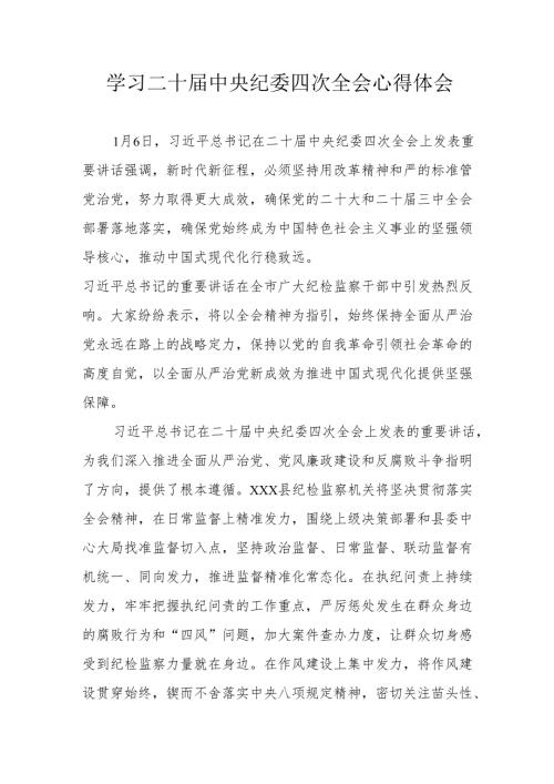 学习二十中央纪委四次全会个人心得体会.docx