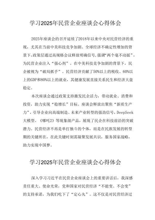 民营企业2025年学习《民营企业座谈会》个人心得体会 合计5份.docx