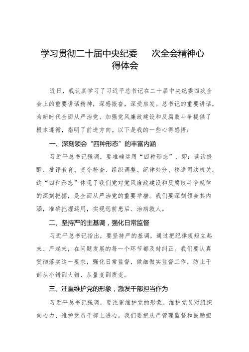 八篇纪检干部学习贯彻二十中央纪委四次全会精神的心得体会.docx