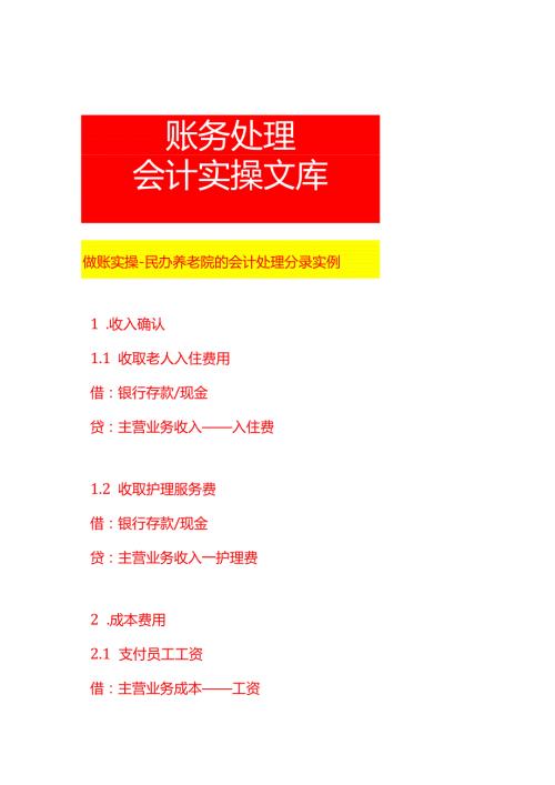 做账实操民办养老院的会计处理分录实例.docx