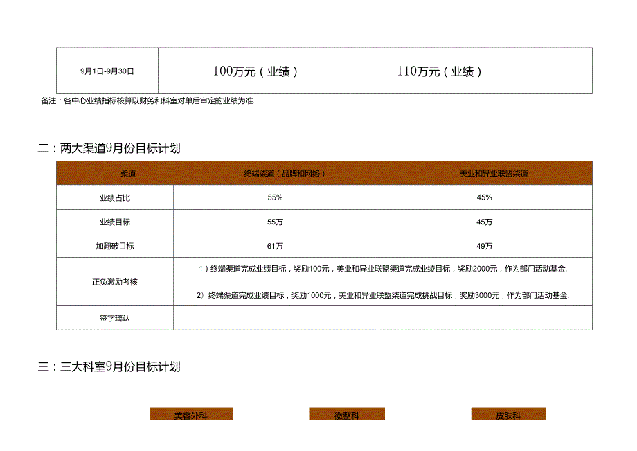 医美整形医院9月运营执行计划方案.docx_第2页