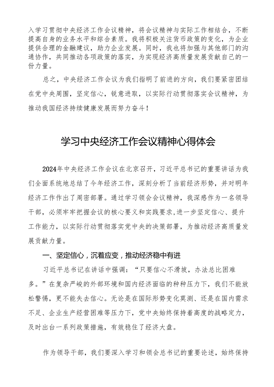 九篇2024年学习贯彻中央经济工作会议精神心得感悟.docx_第2页