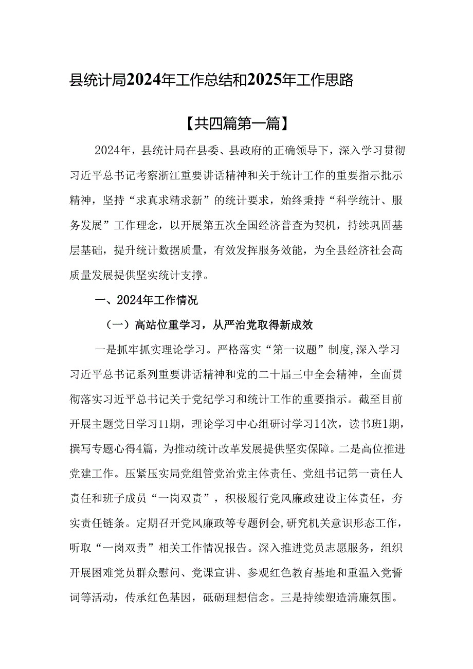 （4篇）县统计局2024年工作总结和2025年工作思路.docx_第1页