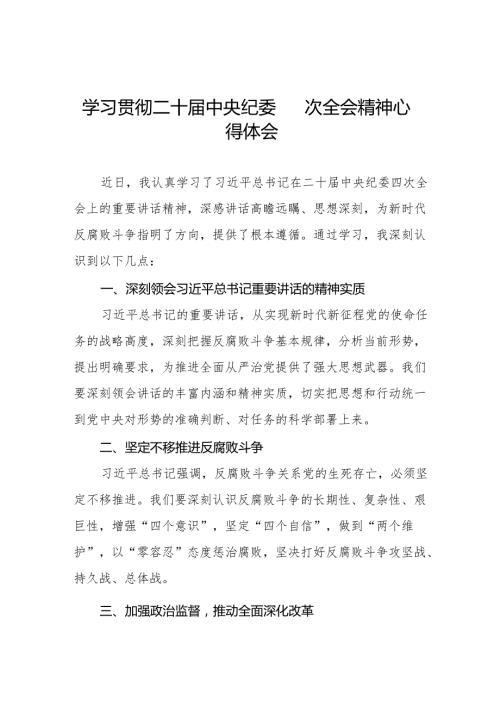 纪检干部关于学习贯彻中央纪委二十四次全会重要精神的心得体会12篇.docx
