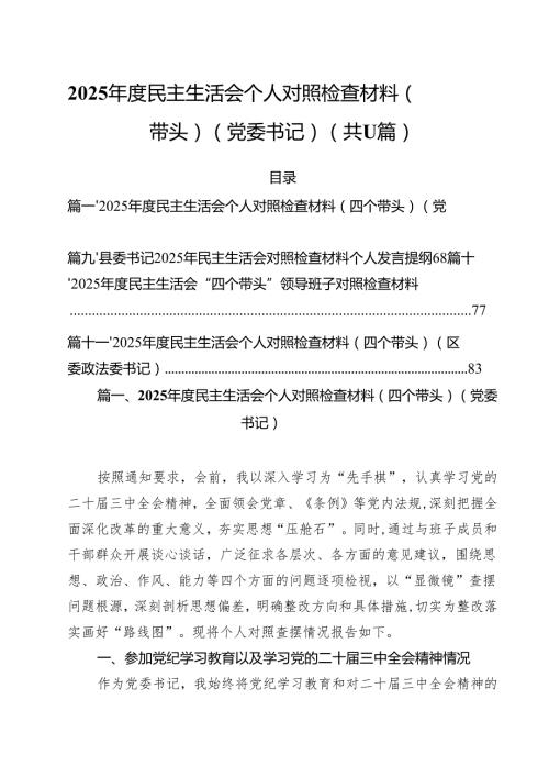 （11篇）2025民主生活会个人对照检查材料（四个带头）（党委书记）范文.docx
