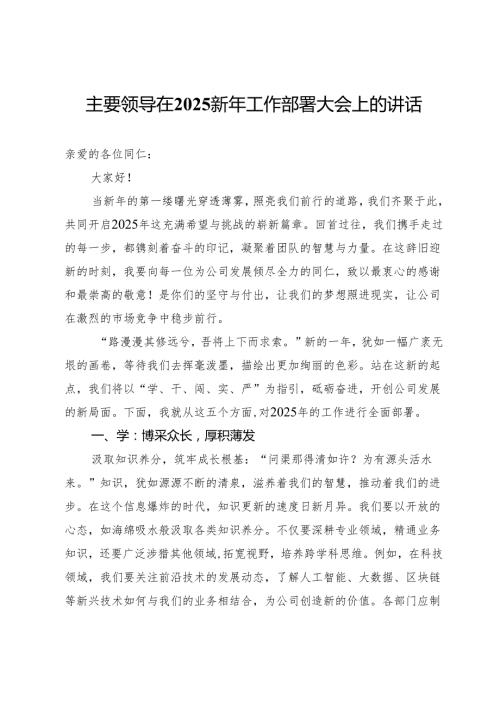 主要领导在2025新年工作部署大会上的讲话.docx