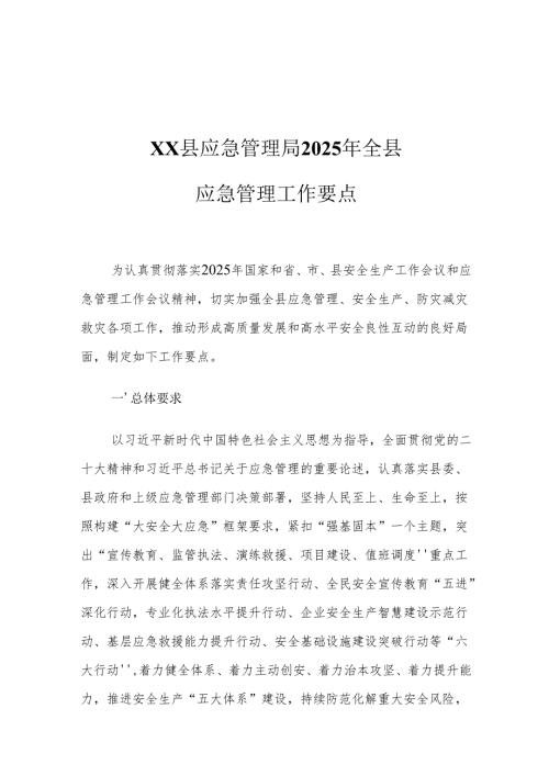 XX县应急管理局2025年全县应急管理工作要点.docx