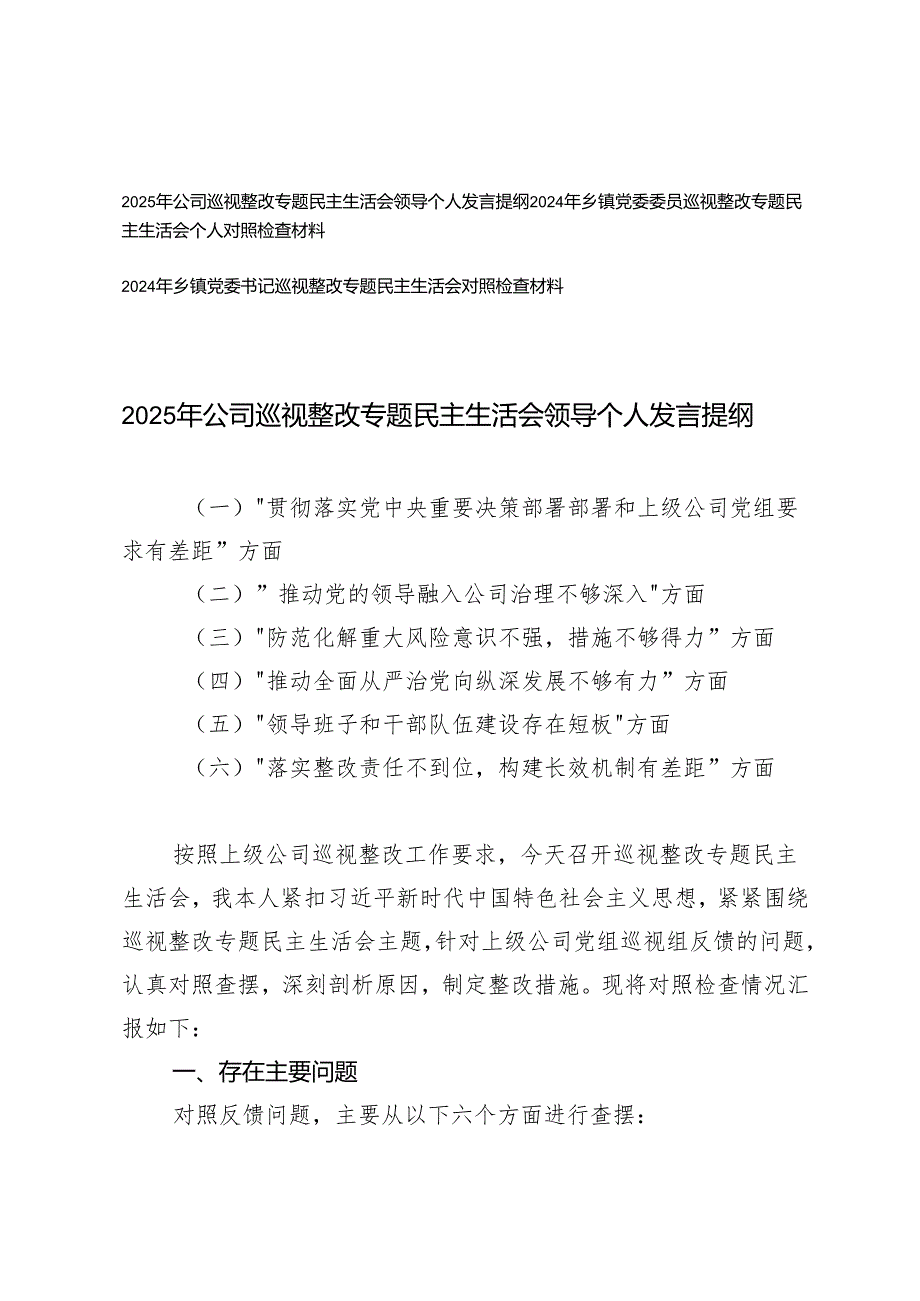 2025年乡镇党委委员、党委书记公司巡视整改专题民主生活会领导个人发言对照检查材料（六个方面）.docx_第1页