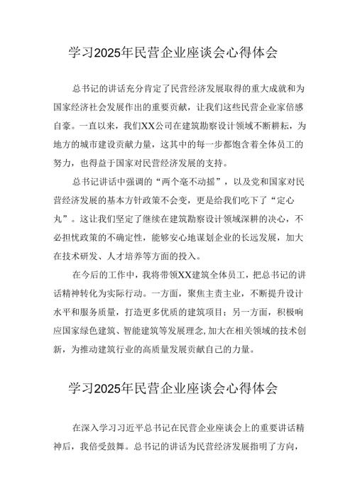 民营企业2025年学习《民营企业座谈会》个人心得感悟 （5份）88(1).docx