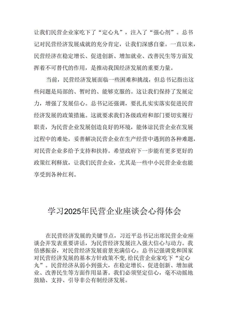 民营企业2025年学习《民营企业座谈会》个人心得感悟 （5份）88(1).docx_第2页