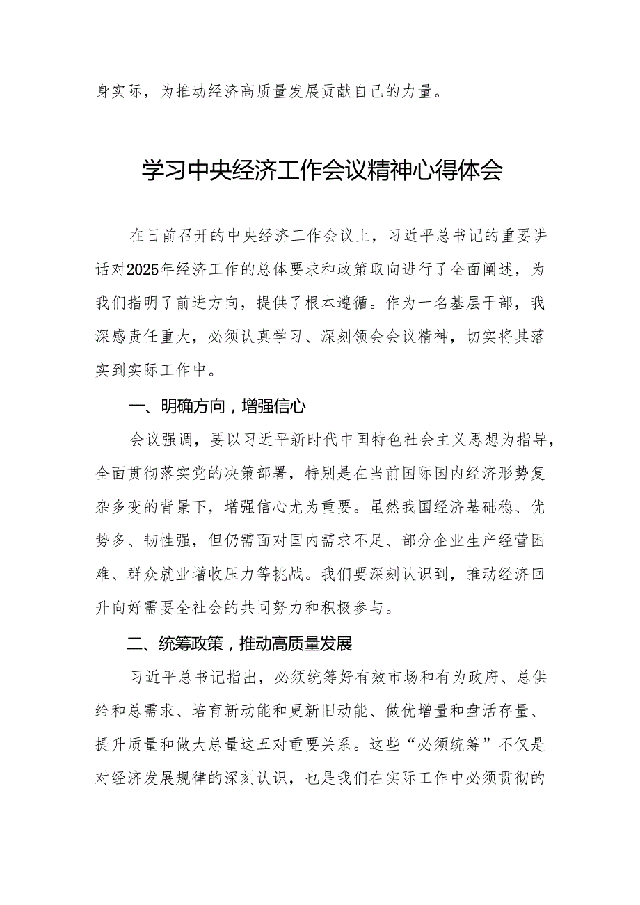 银行行长学习贯彻2024年中央经济工作会议精神的心得体会四篇.docx_第3页