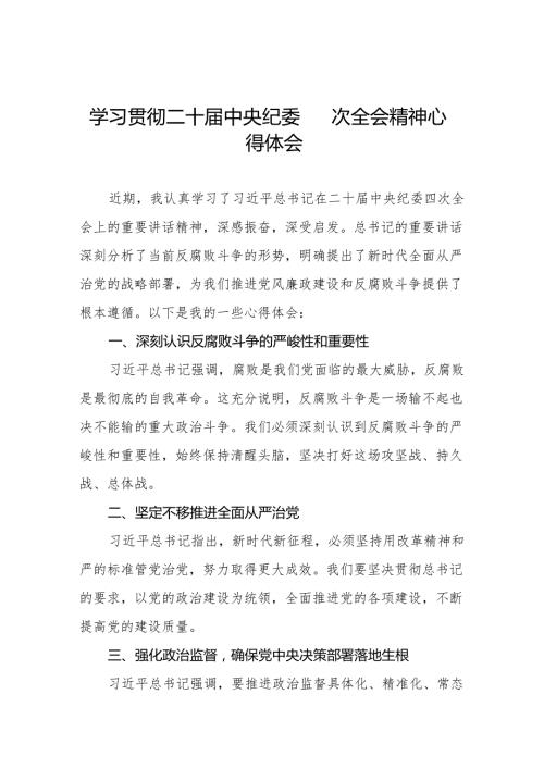 二十中央纪委四次全会重要精神的心得体会十五篇.docx
