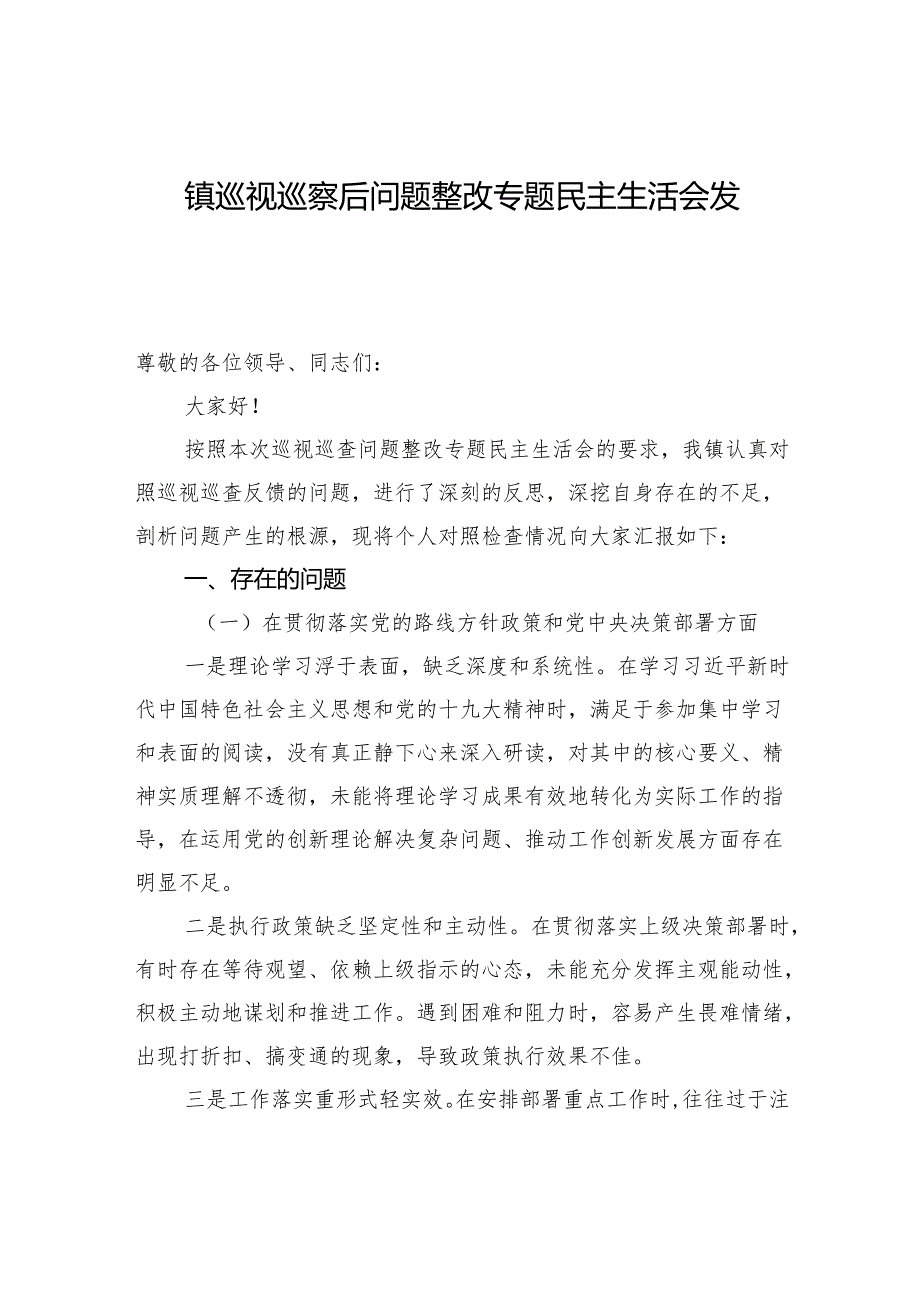 镇巡视巡察后问题整改专题民主生活会发言.docx_第1页