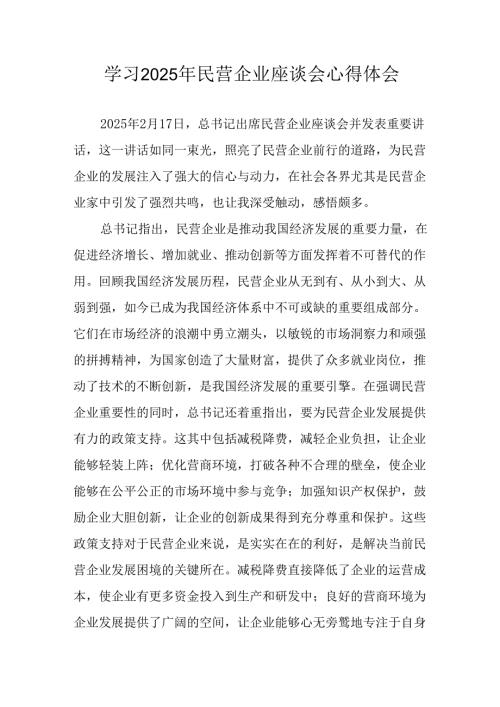 民营企业2025年学习《民营企业座谈会》个人心得感悟 （5份）89(1).docx