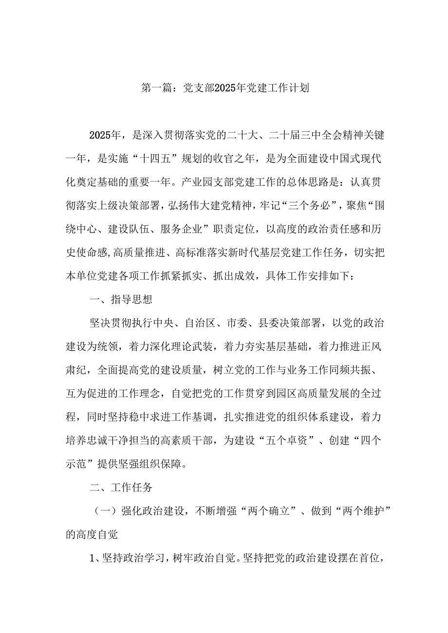 党支部2025年党建工作计划(16篇范文).docx_第2页