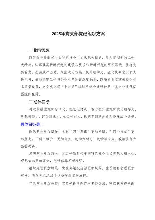 2025年党支部党建组织方案.docx