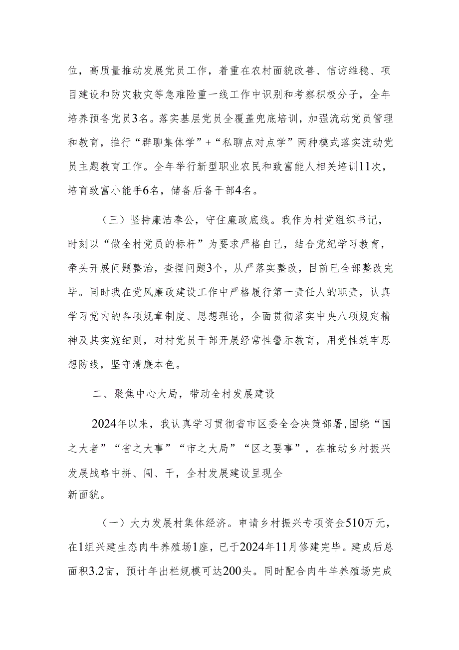 村党支部书记2024基层党建工作述职报告范文.docx_第2页