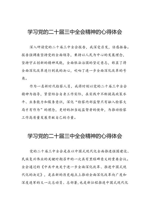 党员干部学习党的二十三中全会公报的心得体会交流发言六十篇.docx