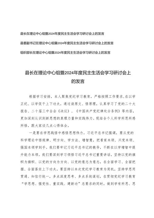 2025年2月 在理论中心组暨2024民主生活会学习研讨会上的发言（汇编）.docx