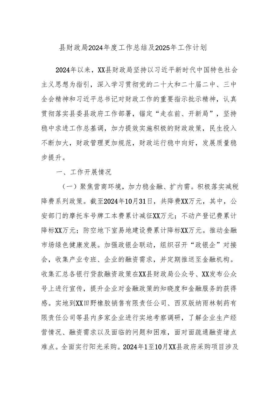 县财政局2024工作总结及2025年工作计划.docx_第1页