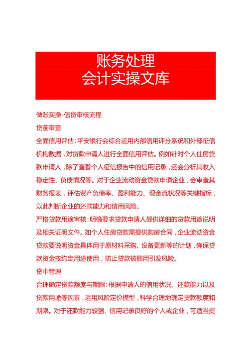做账实操信贷审核流程.docx