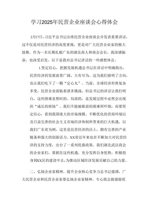 民营企业2025年学习《民营企业座谈会》个人心得感悟 （5份）61.docx