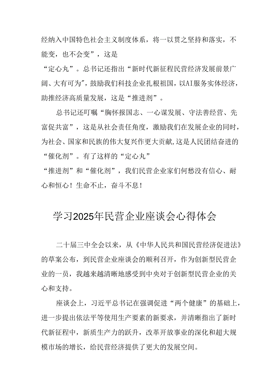 2025年私营企业学习《民营企业座谈会》个人心得感悟 （8份）.docx_第2页