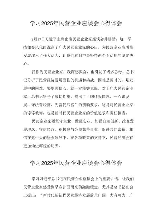 2025年私营企业学习《民营企业座谈会》个人心得感悟(1).docx