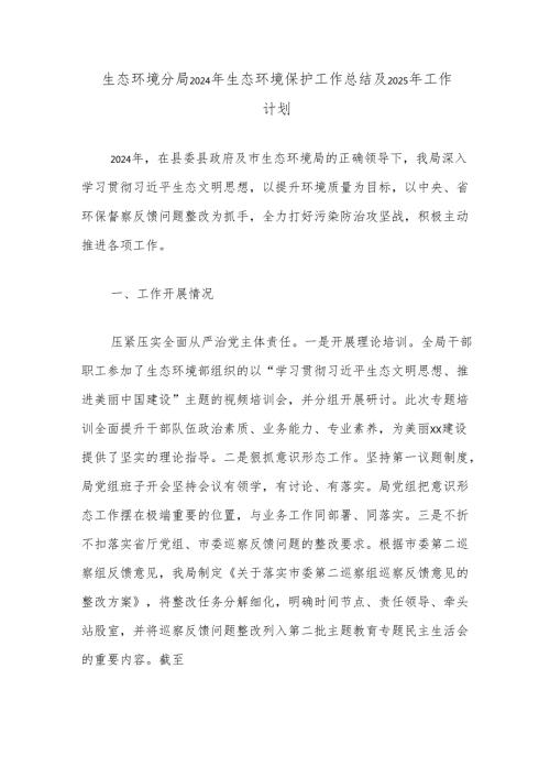生态环境分局2024年生态环境保护工作总结及2025年工作计划(1).docx