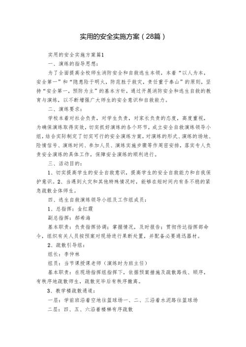 实用的安全实施方案（28篇）.docx