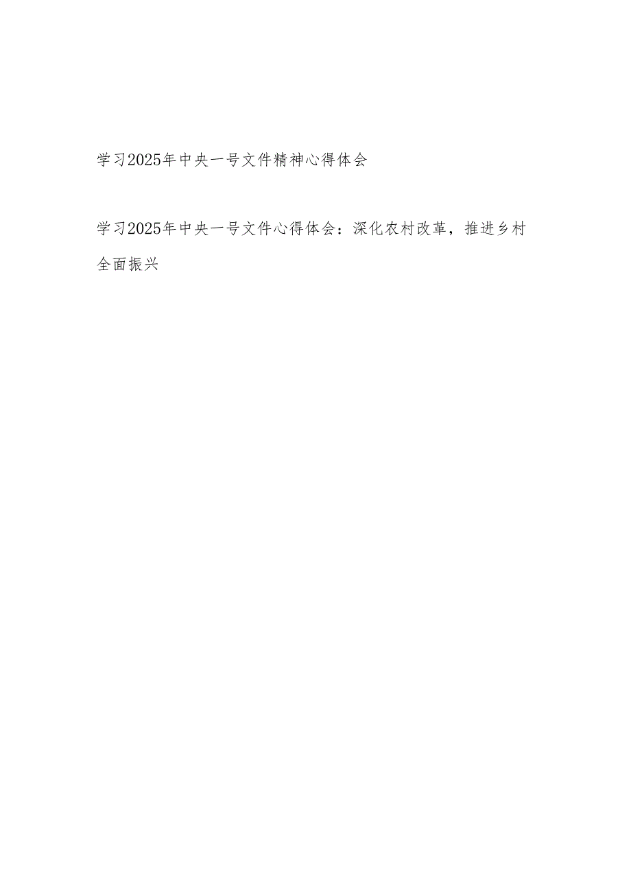 2025年中央一号文件精神学习心得体会感想2篇.docx_第1页