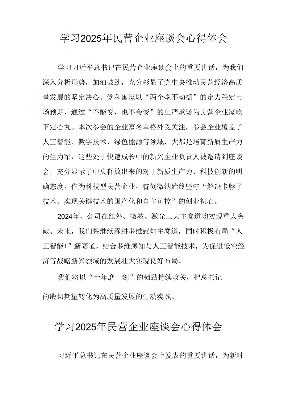 民营企业2025年学习《民营企业座谈会》个人心得感悟 （4份）88.docx_第2页
