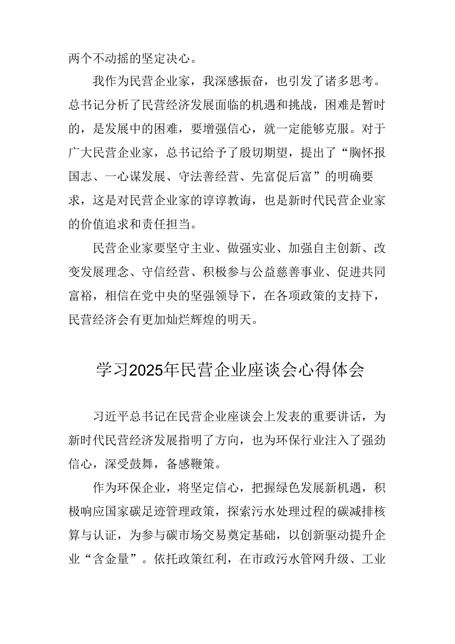 2025年私营企业学习《民营企业座谈会》个人心得感悟 合计10份.docx_第2页