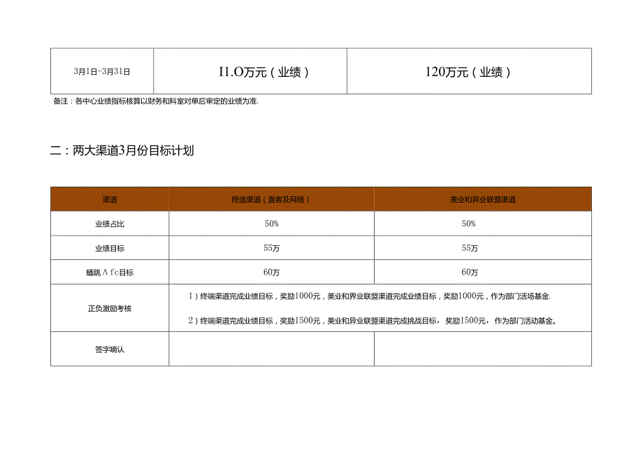 医美整形医院3月运营执行方案.docx_第2页