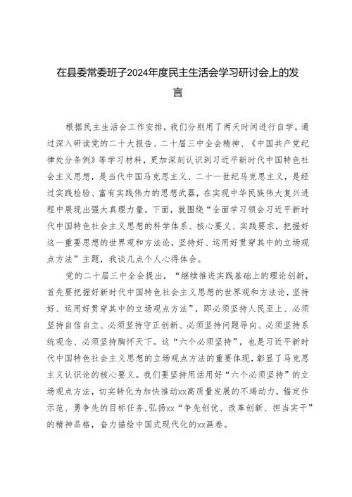 在县委常委班子20242025年民主生活会学习研讨会上的发言.docx