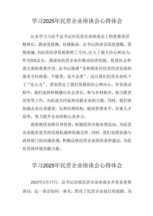 民营企业2025年学习《民营企业座谈会》个人心得体会 （4份）.docx