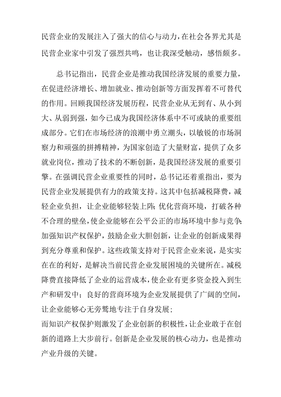 民营企业2025年学习《民营企业座谈会》个人心得体会 （4份）.docx_第2页