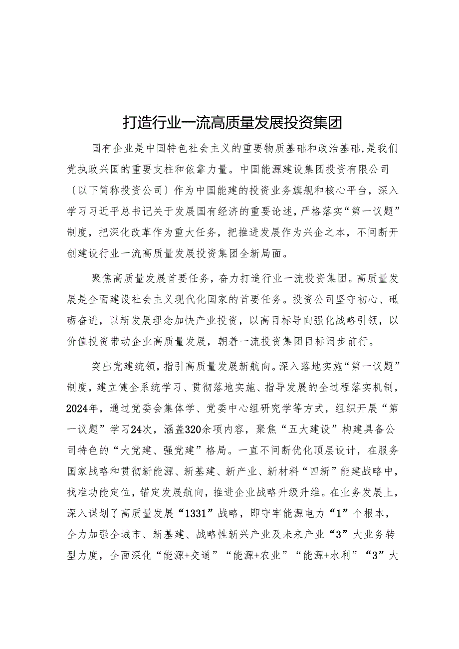 打造行业一流高质量发展投资集团.docx_第1页