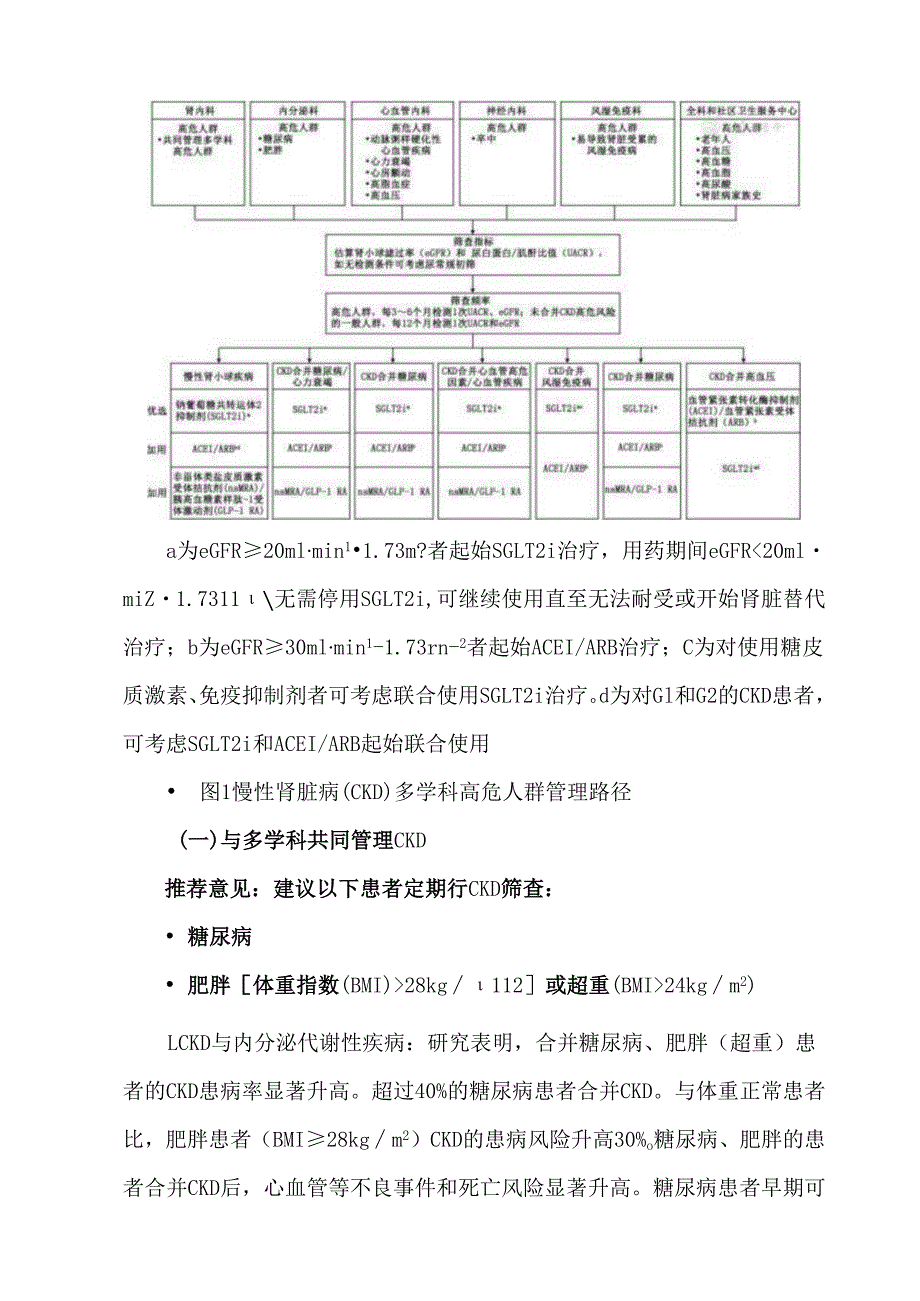 慢性肾脏病多学科临床管理路径专家共识.docx_第3页