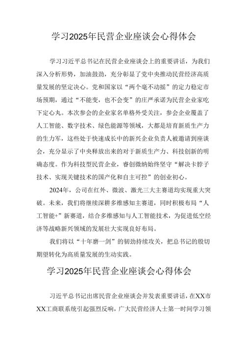 2025年私营企业学习《民营企业座谈会》个人心得体会 （汇编12份）.docx