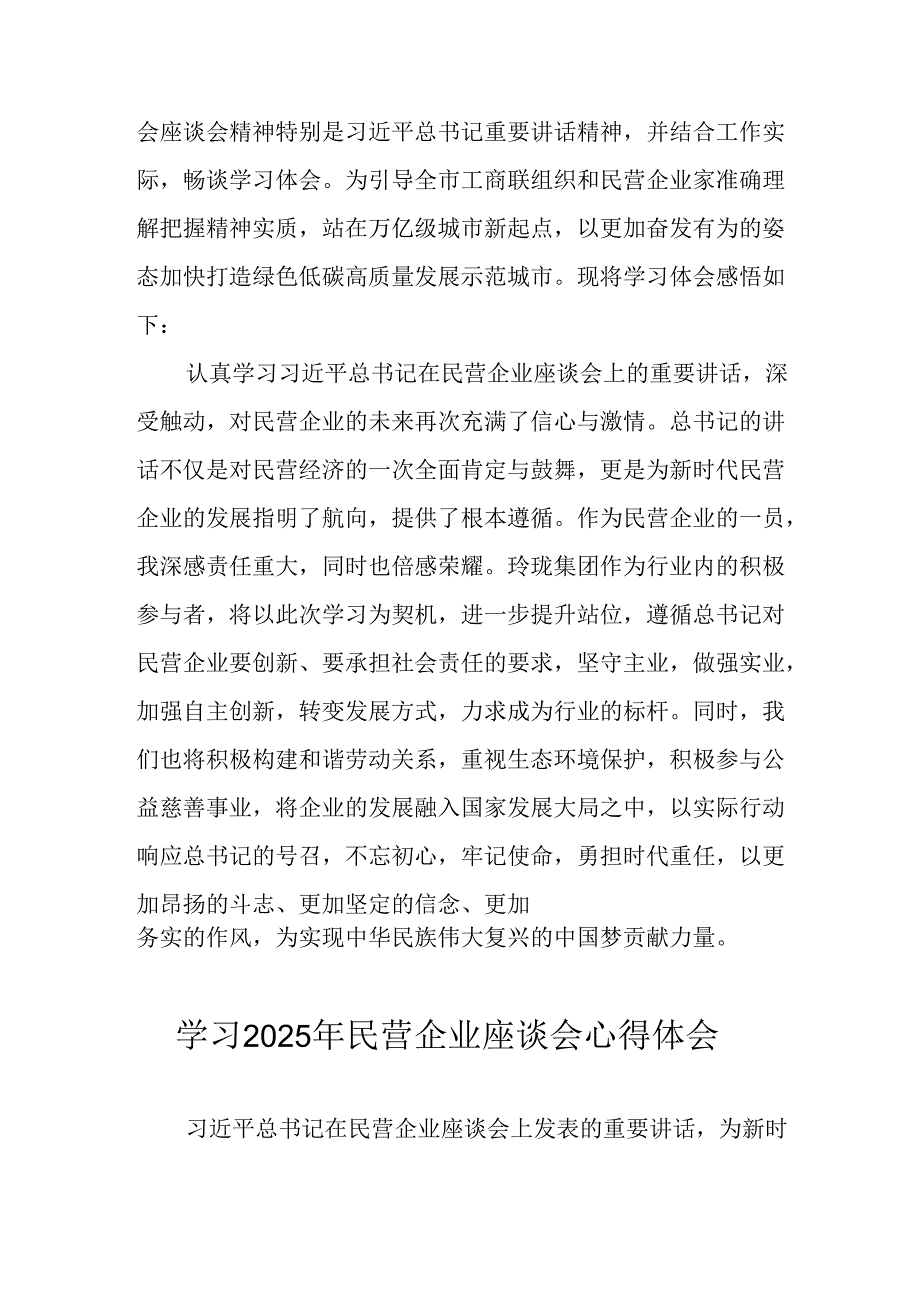 2025年私营企业学习《民营企业座谈会》个人心得体会 （汇编12份）.docx_第2页