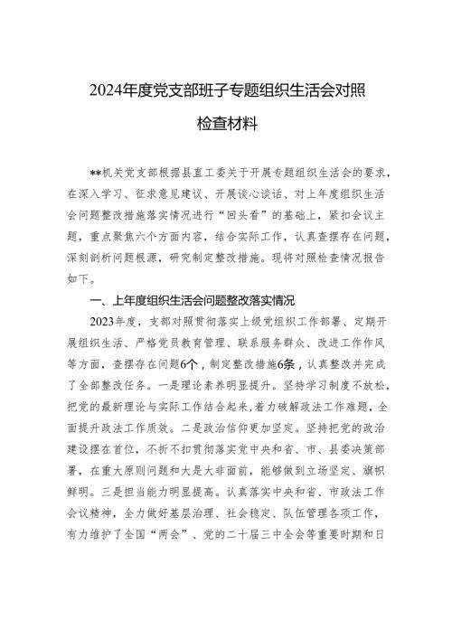 2024党支部班子专题组织生活会对照检查发言材料.docx