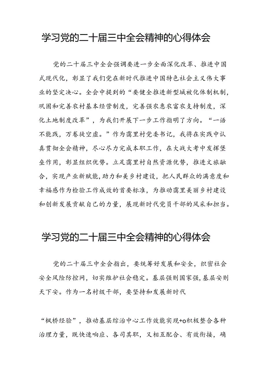 关于2024年党的二十三中全会精神的学习体会交流发言二十六篇.docx_第3页