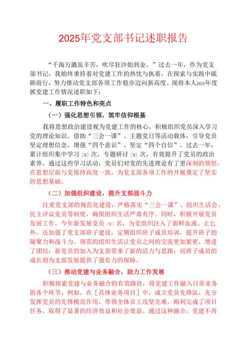 2025年党支部书记述职报告 (2).docx