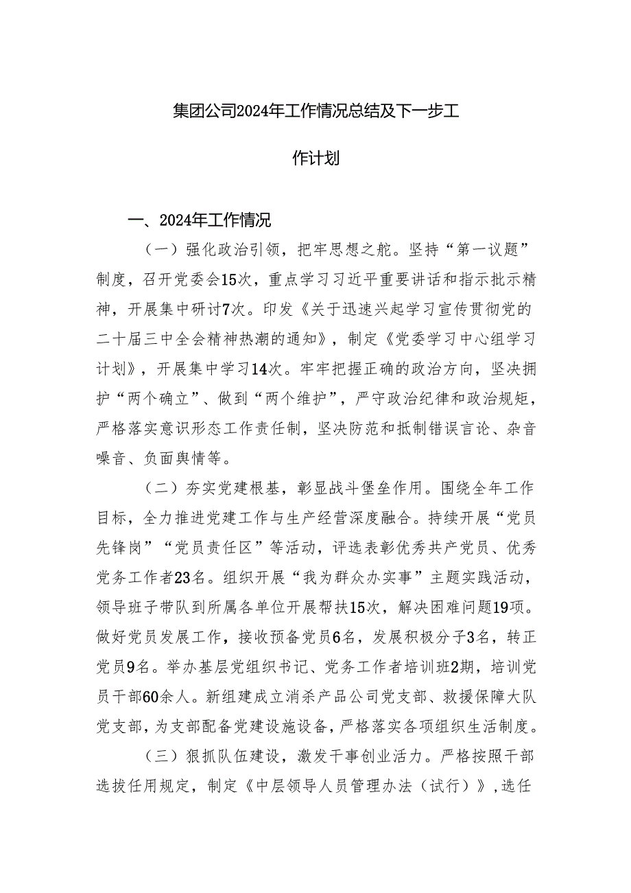 集团公司2024年工作情况总结及下一步工作计划.docx_第1页