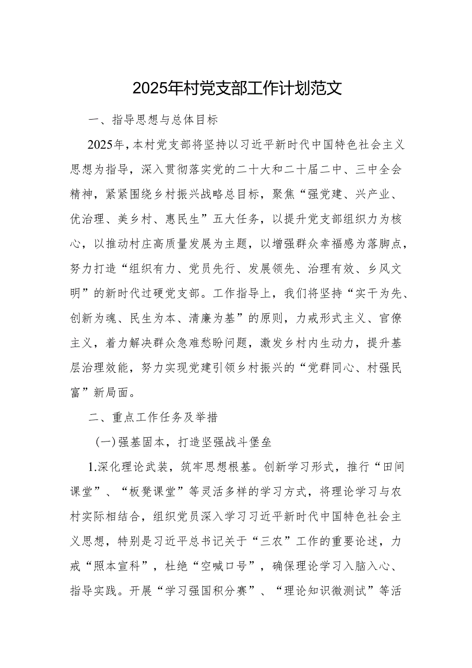 2025年村党支部工作计划范文.docx_第1页