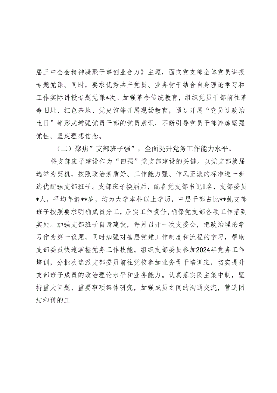 20242025年党支部书记抓基层党建述职报告.docx_第2页