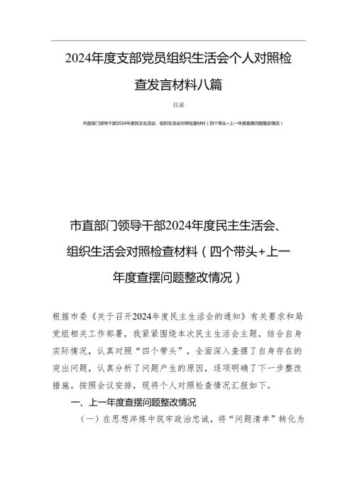 2024支部党员组织生活个人对照发言材料 八篇.docx